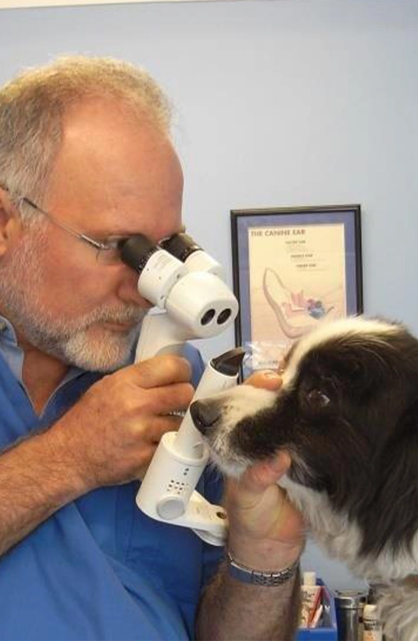Champion Lake Vet Centre - Meet Our Team - Dr Colin Sherry