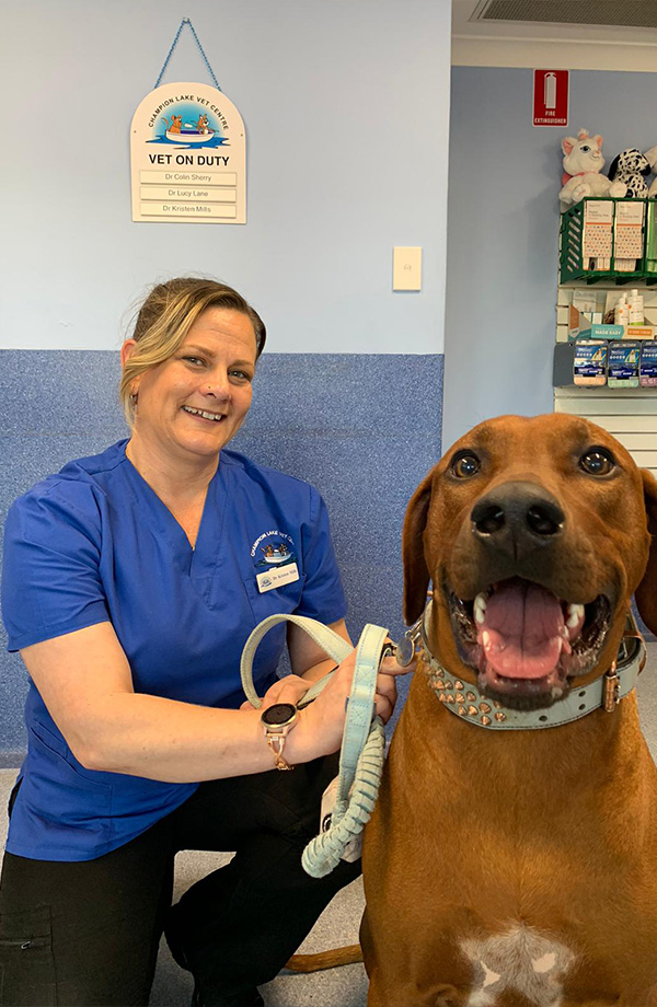 Champion Lake Vet Centre - Meet Our Team - Dr Kristen Mills