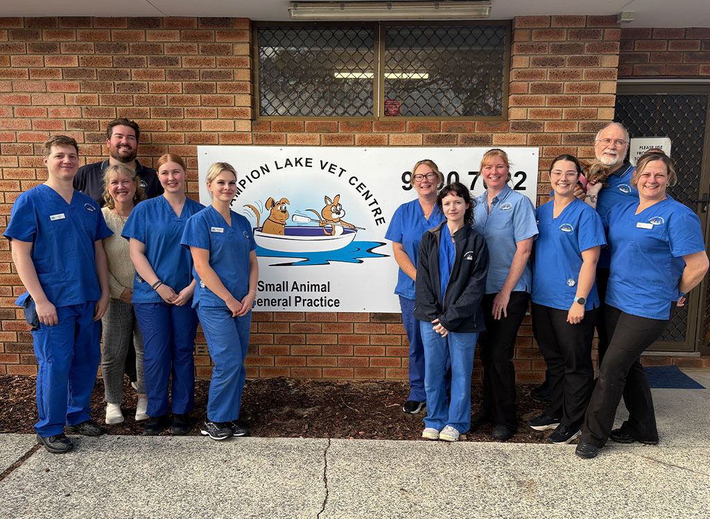 Champion Lake Vet - Caring for your pets in Camillo